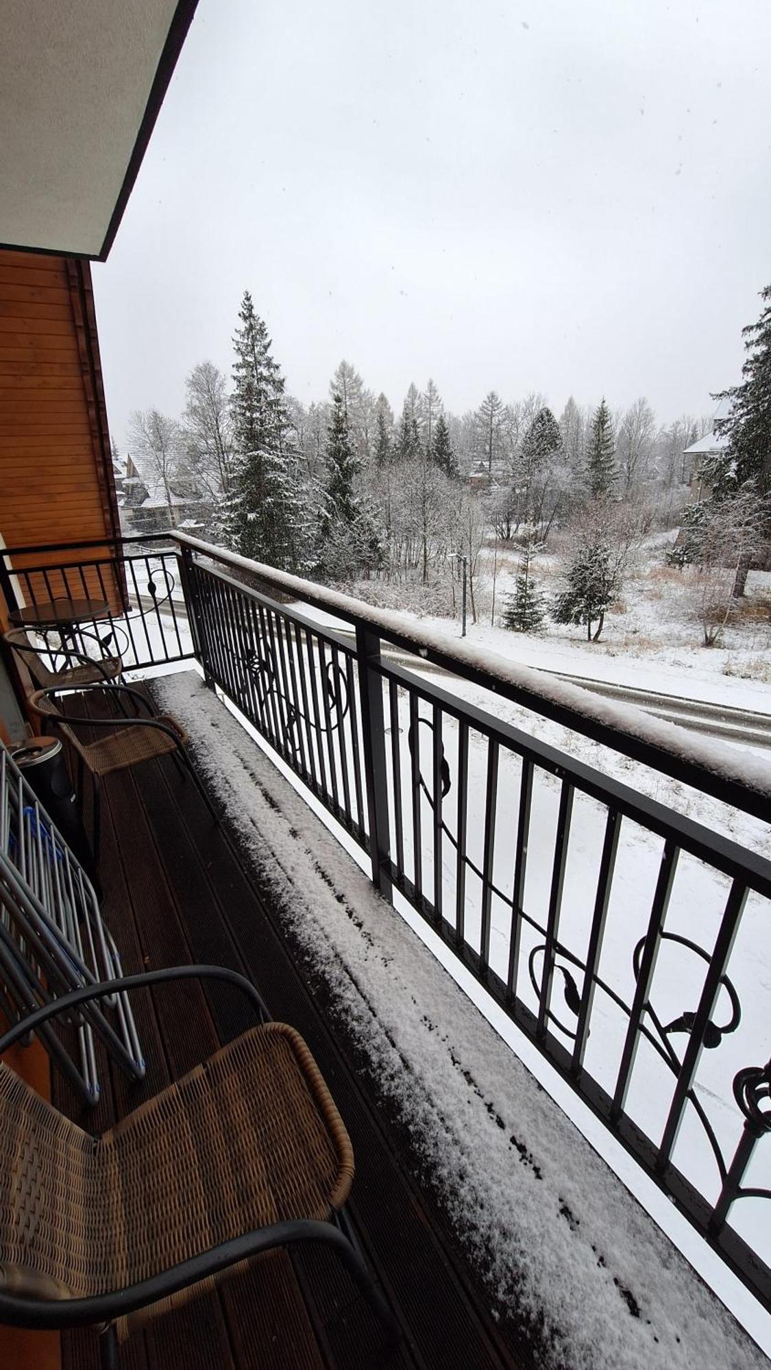 Willa U Kośle 2 Zakopane Esterno foto